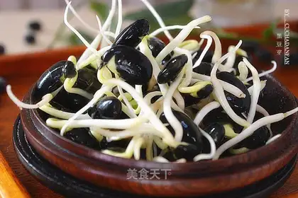 Homemade black bean sprouts