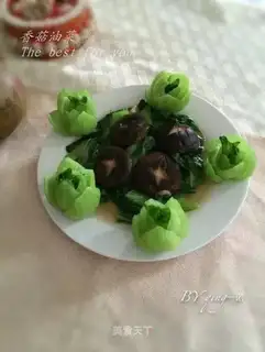 Mushroom oil