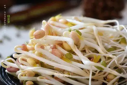 Homemade green bean buds