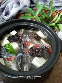 Squirty tofu