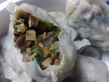 Mushroom and vegetable dumplings