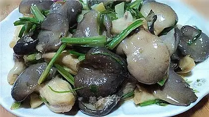 stir-fried vegetarian vegetables