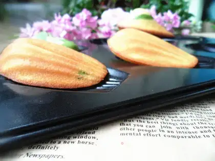 Madeleine