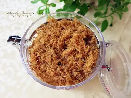 Cheese pine