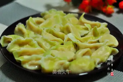 Pork dumplings