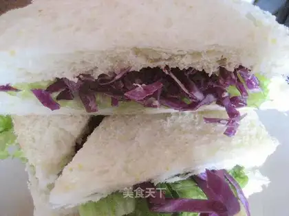Vegetable salad sandwich