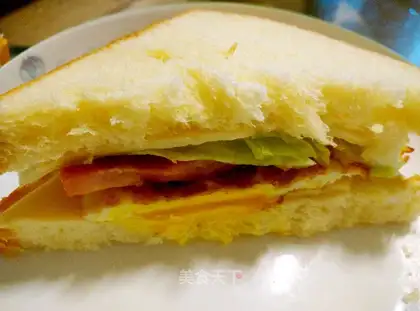 Cheese sandwich