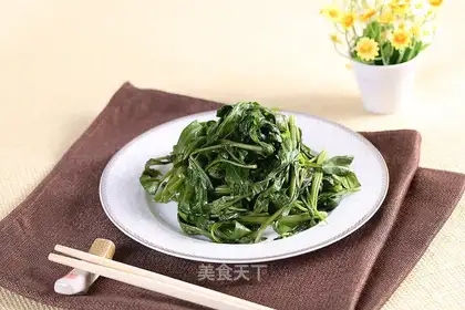Vegetable cabbage