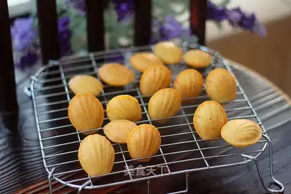 Orange Madeleine