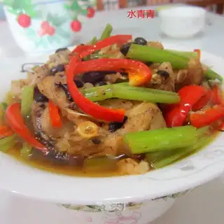 Squid fish