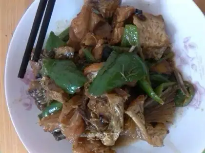 Squid