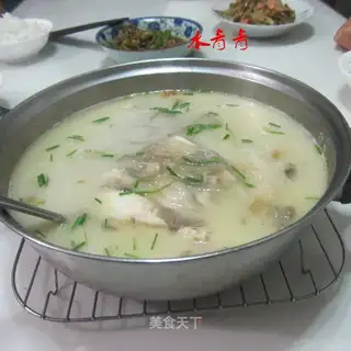 Fat fish-heads cooking fans