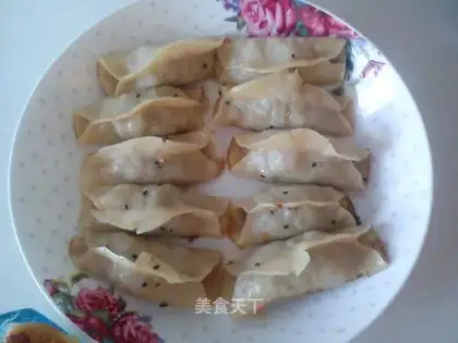 Simple pot stickers