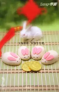 Rabbit cookies