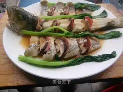 Squidfish