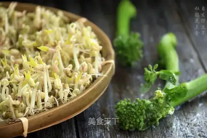 Auto green bean sprouts