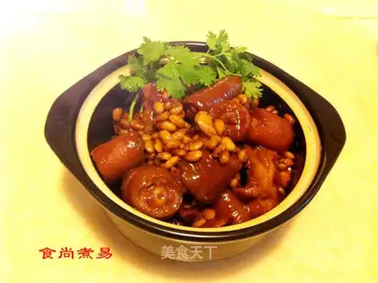 Soybean pigtail