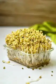 Homemade green bean buds