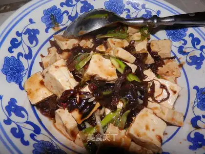 Soy tofu