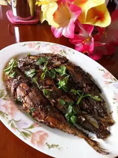 Red-burned mackerel