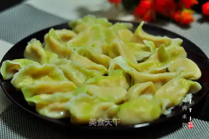 Pork dumplings