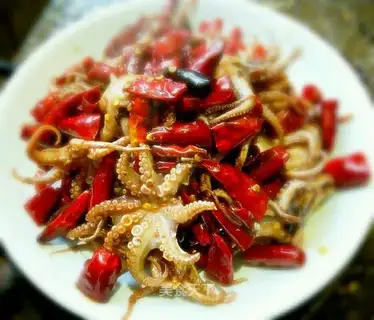 Red fire and squid