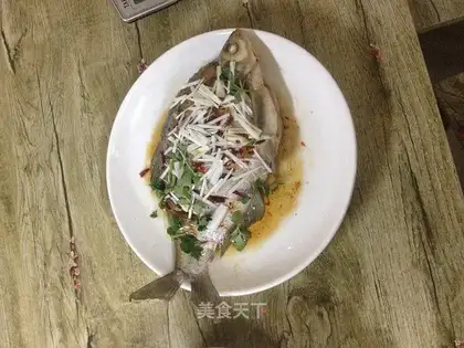 Fresh live fish