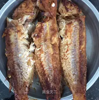 Red Shirt Fish