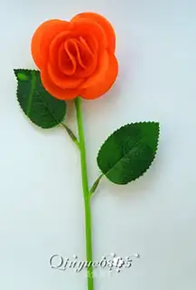 Carrot roses