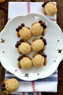 Little lamb cookies