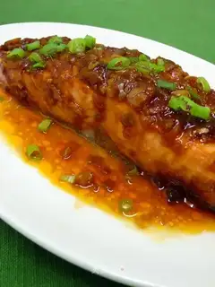 Salmon