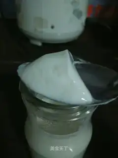 Homemade yogurt
