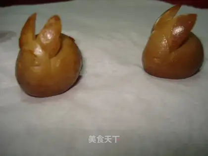 quail rabbit
