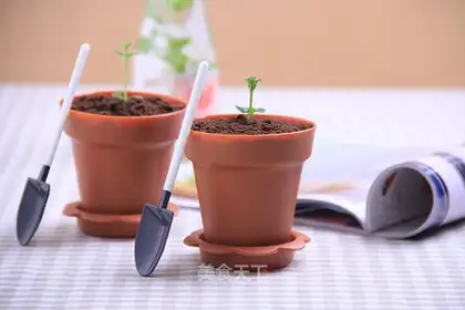 The plant