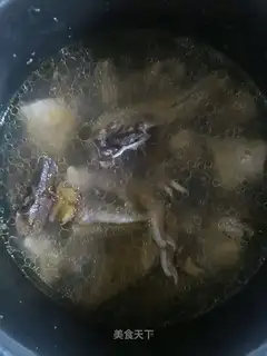 Squid duck soup