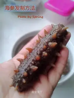 Sea cucumber method