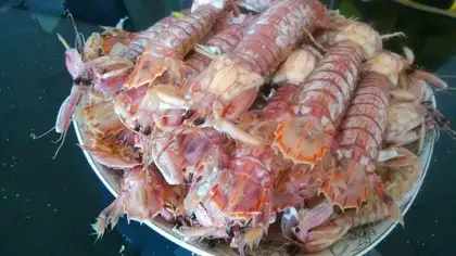Skinned shrimp