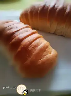 Normal flour caterpillar