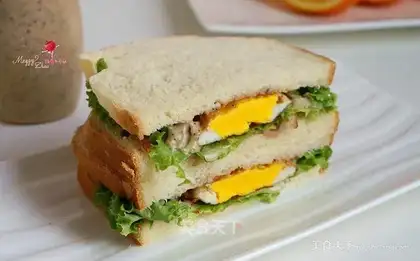 A sandwich
