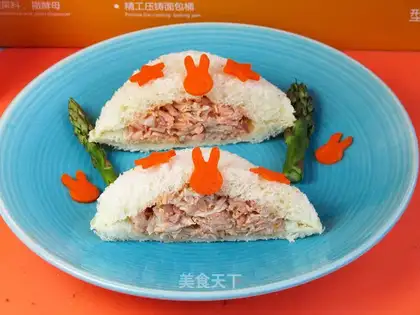 A salmon bag sandwich