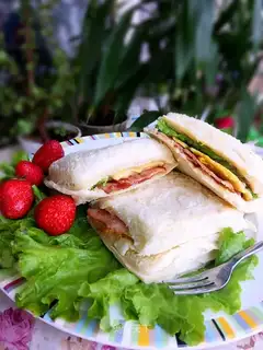 Bag sandwich