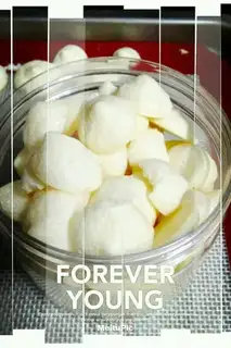Yogurt soybeans