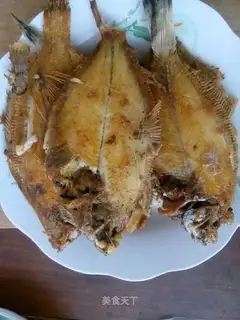 Fried Drum Eye