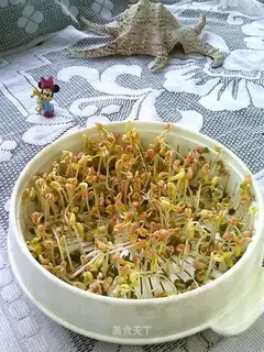 Green bean sprouts