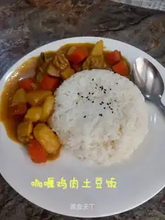Curry potato chicken