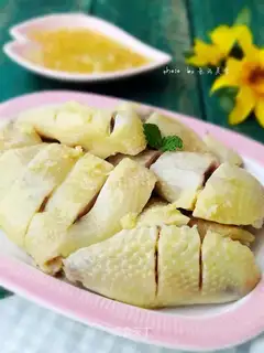 White chicken