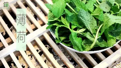 Spicy mint