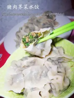 Shepherd pork dumplings