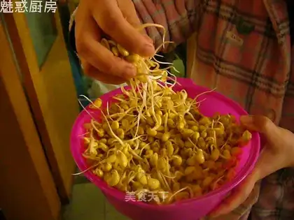 Home-made soybean sprouts