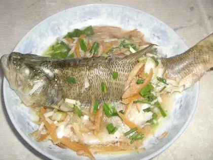 Orange Perch